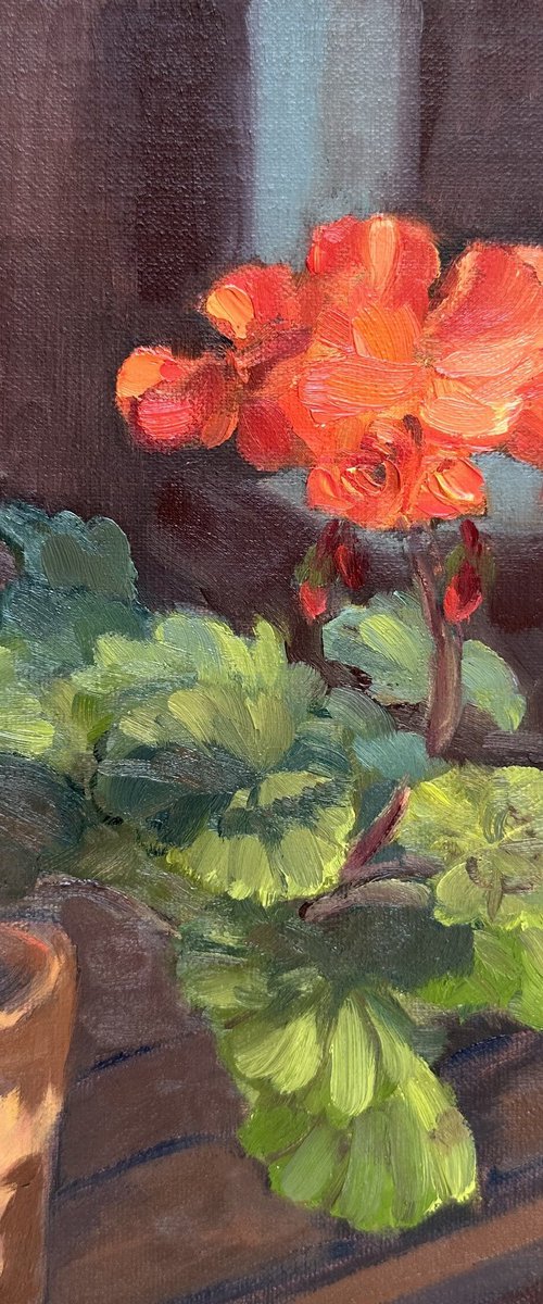 Blooming Geranium by Grace Diehl