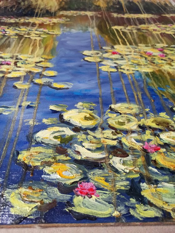 Impression. Water lilies 6