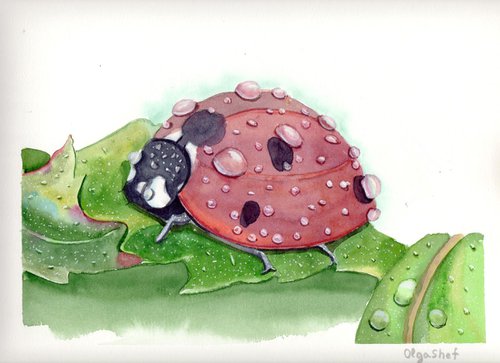 Ladybug by Olga Shefranov (Tchefranov)