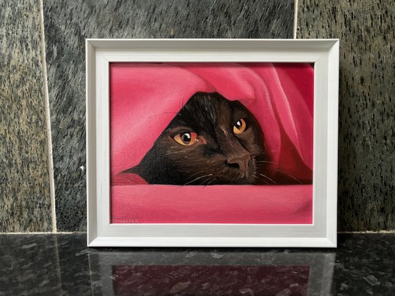 Cat In A Pink Blanket
