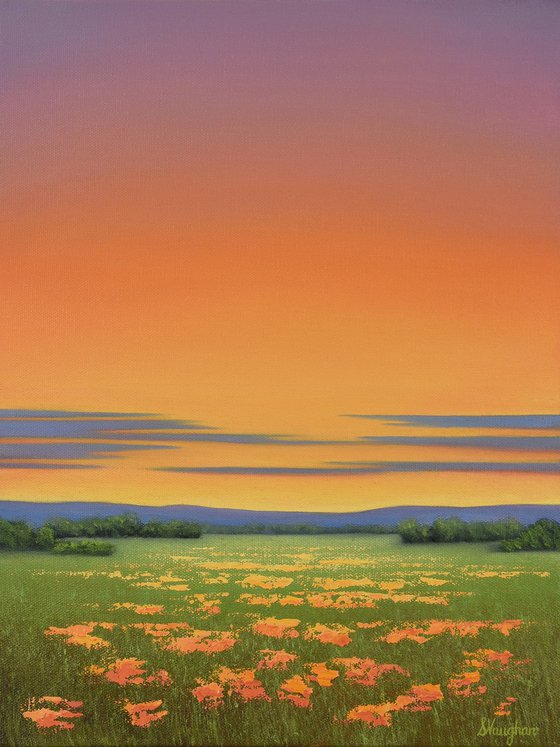 Orange Blooms - Colorful Flower Field Landscape