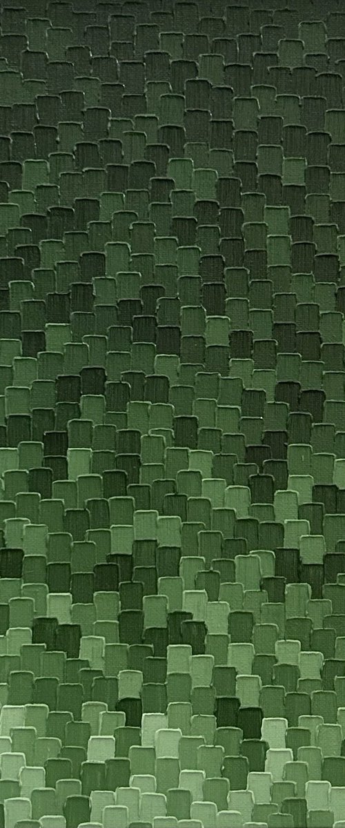 Evergreen Shadows by Meredith B.  Studios