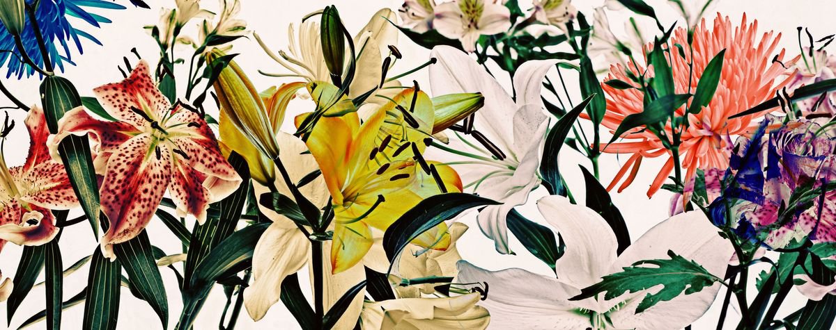 White Flowers # 9165 (photo-painting) by LEV GORN
