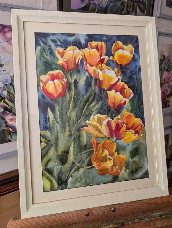 Tulips#5