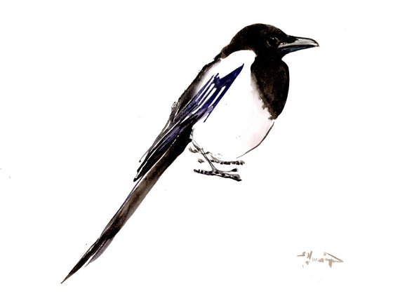 Magpie