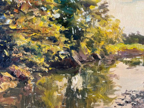 “The Gentle Embrace of Soft Light”