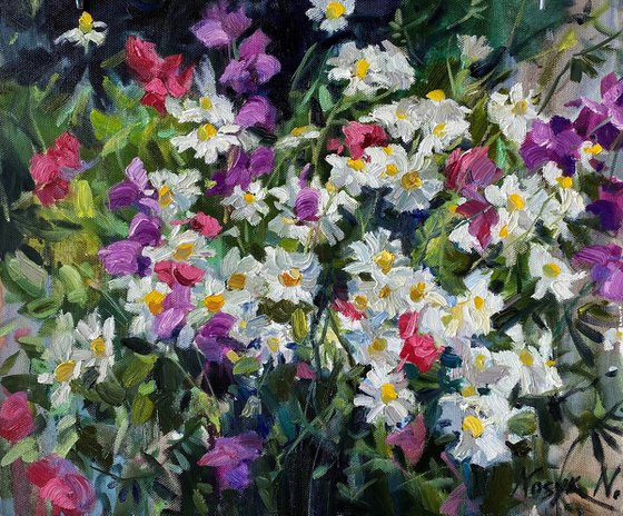 Camomile and wild flowers