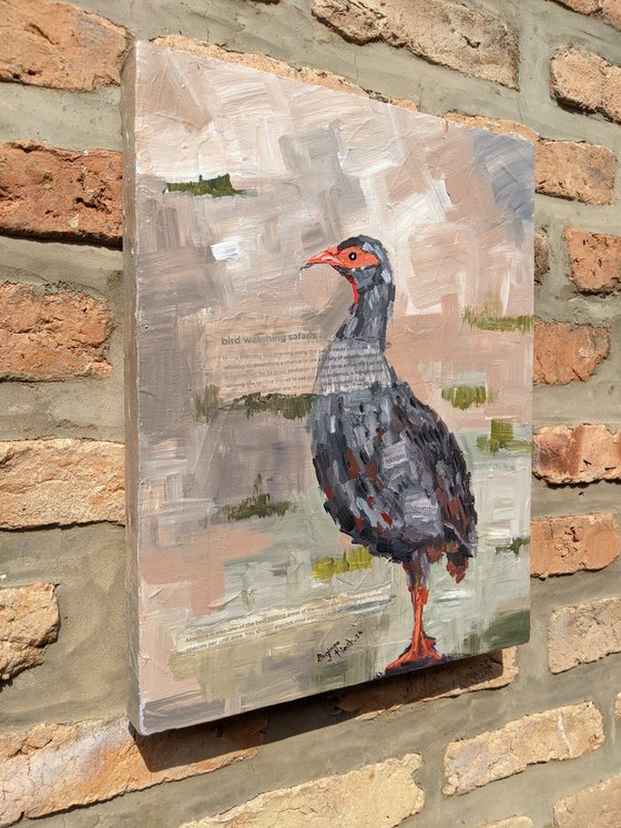 INKWARE (RED FRANCOLIN)