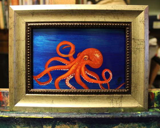 Octopus miniture
