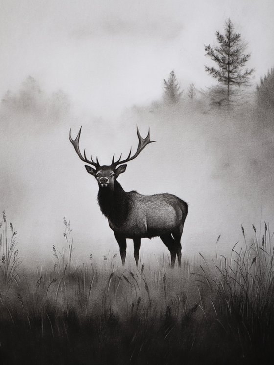 Deer Drawing