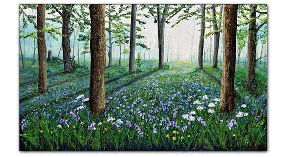 Bluebell Woods