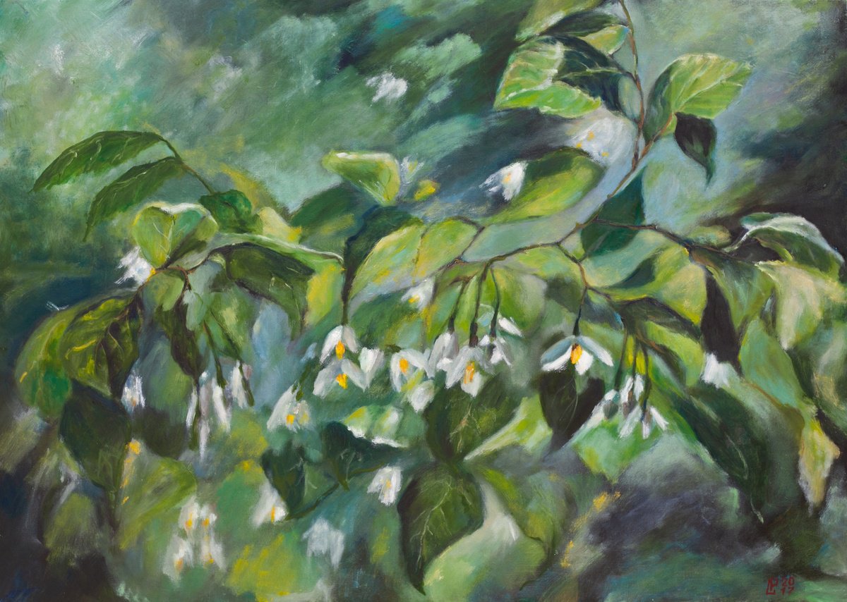 Impressionistic Botanical Oil Painting By Liudmila Pisliakova, 28 X 20", Japanese Snowbells, Original Artwork
