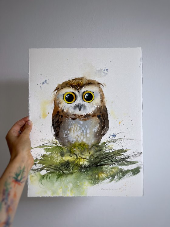 The Curious Owl