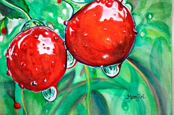 Red ripe Cherries in the Orchard watercolor painting on sale