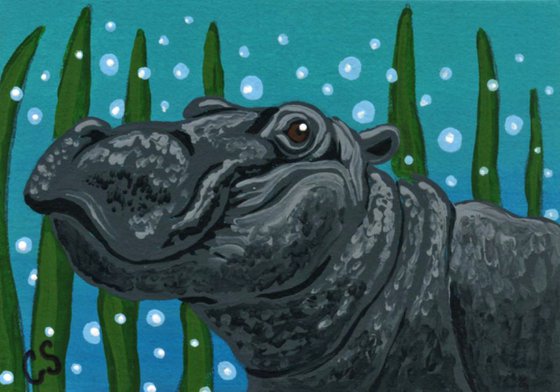 ACEO ATC Original Painting Hippopotamus Wildlife Art-Carla Smale