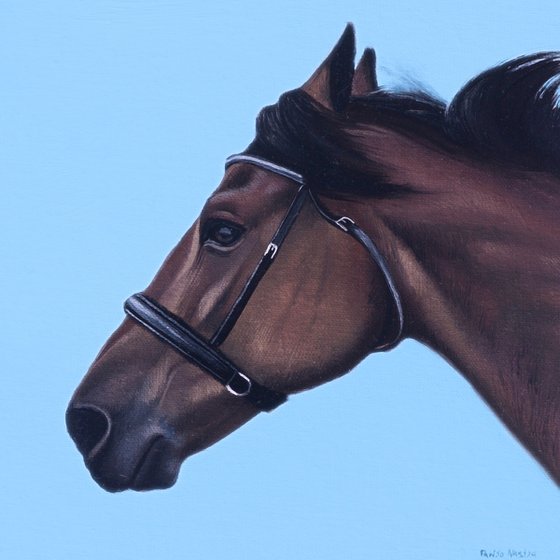 Horse Portrait 4