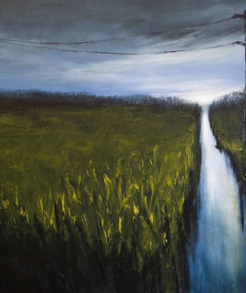 When the Night makes the Lines - Fields and Colors Series by Danijela Dan