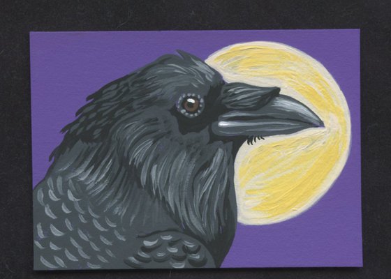 ACEO ATC Original Miniature Painting Crow Raven Bird Wildlife Art-Carla Smale