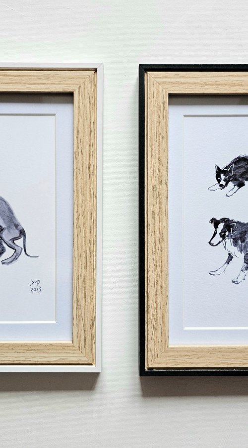 A couple of dogs and a pup by Ksenia June