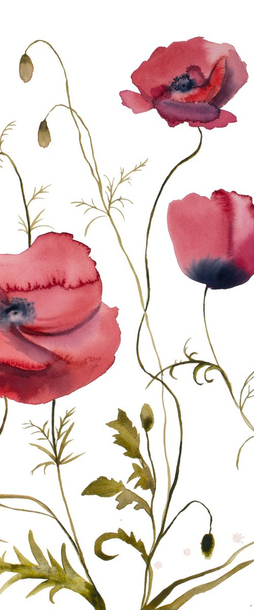 Poppies No. 2 by Elizabeth Becker