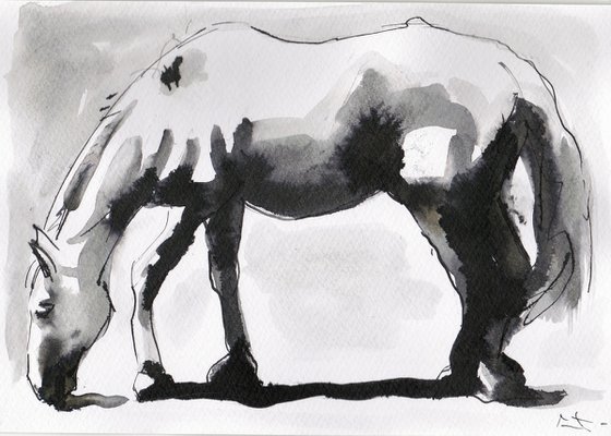 Horse study