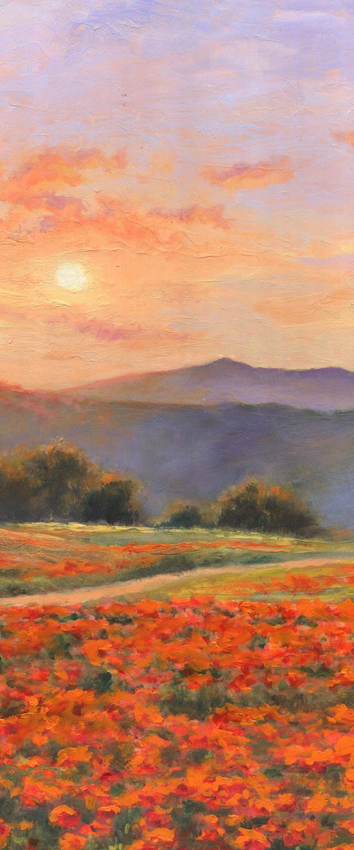 'Peaceful poppy field' by Lucia Verdejo