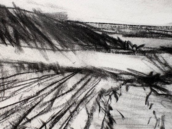 Pennsylvania Fields 3