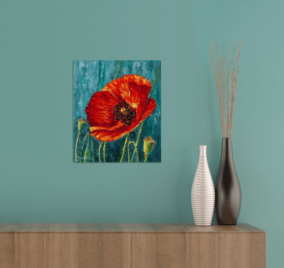 Red poppy