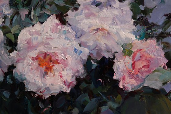 "Dawn Roses"