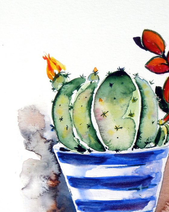 Summer still life collection