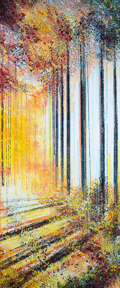 Autumn Forest Path At Sunset by Marc Todd