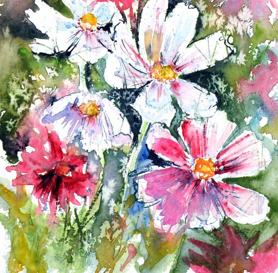 Windflowers