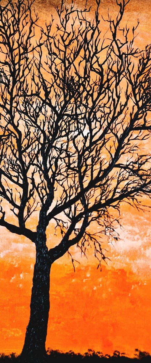 Orange sunset by Daniel Urbaník