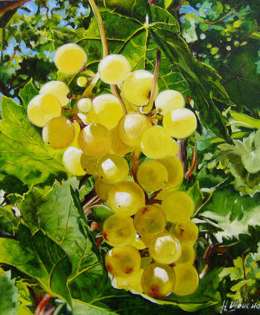 Photorealistic Oil Painting , Grape By Natalia Shaykina, 24 X 28, Artwork For Sale On Artfinder