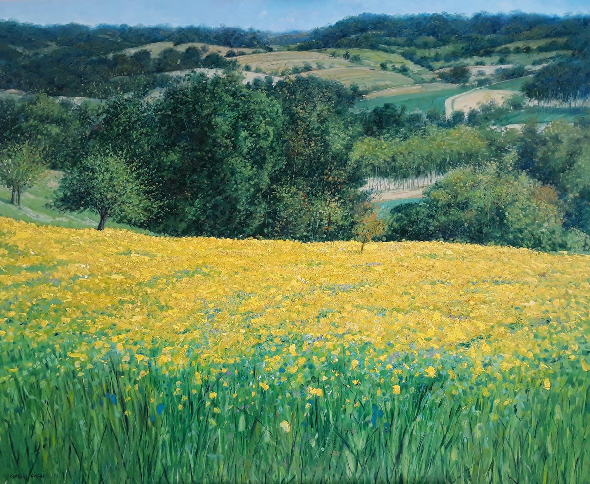 Impressionistic Botanical Oil Painting By Claudio Ciardi, 57 X 45, Rapeseed Field In Tuscany, Original Artwork