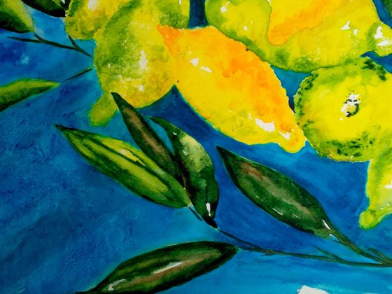 "Lemons "50*36cm\20*14"\watercolor lemons on branch\watercolor blue and yellow