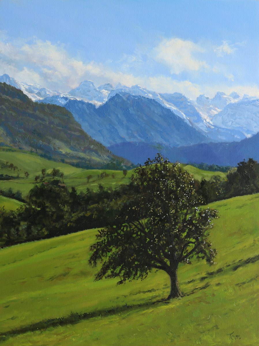 Old apple tree in a meadow by Tom Clay