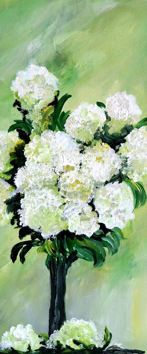 White Carnation by Graham Evans