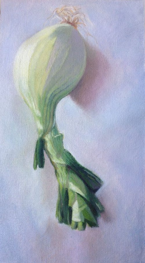 Onion by Anyck Alvarez Kerloch