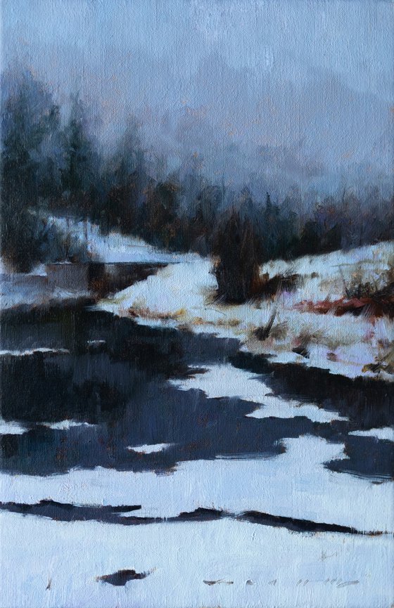 Icy Reflections