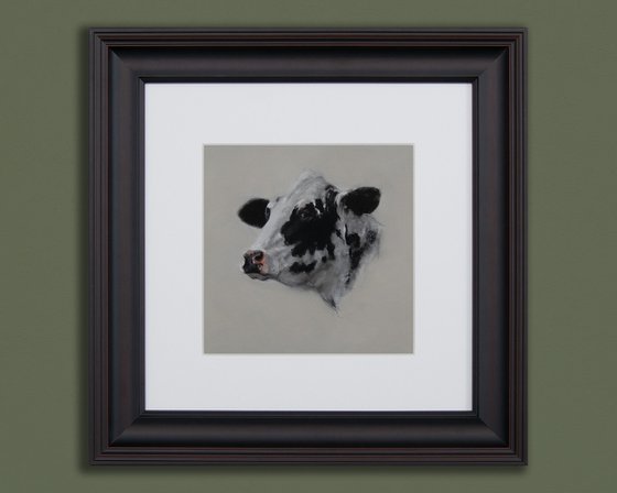 Cow Portrait