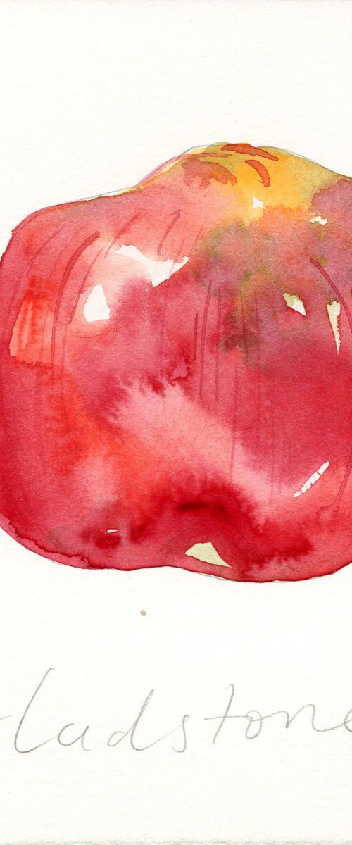 Gladstone Apple Watercolour by Hannah Clark