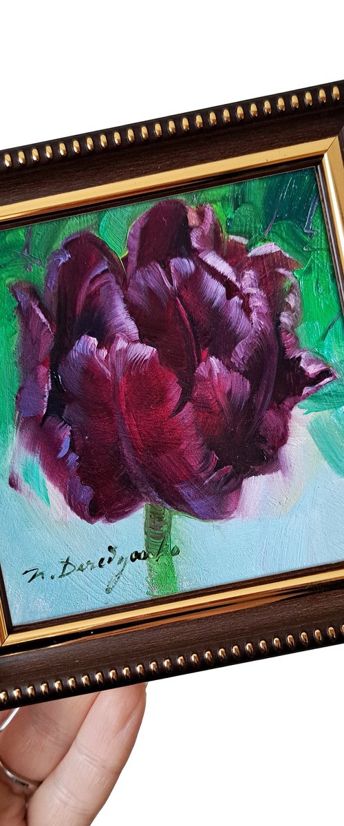 Black tulip by Nataly Derevyanko