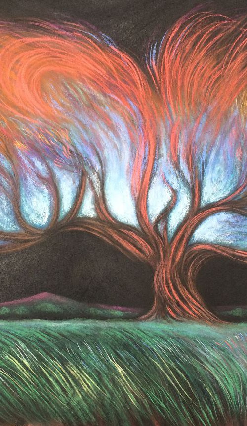 Radiant love ~ a tree full of colour and light by Phyllis Mahon