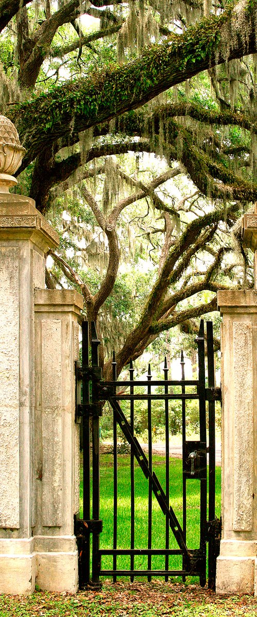 SOUTHERN GOTHIC GATE Savannah GA by William Dey