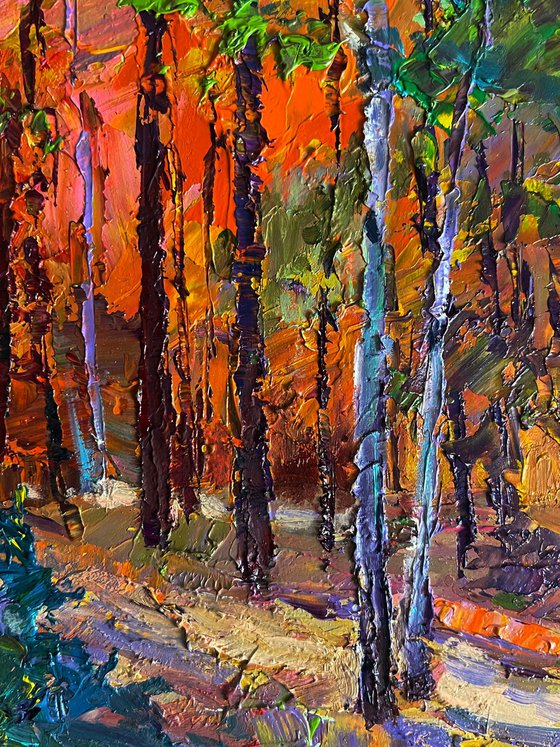 Autumn in the Forest