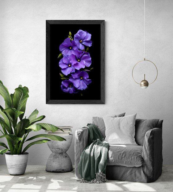 Purple Hibiscus Flowers