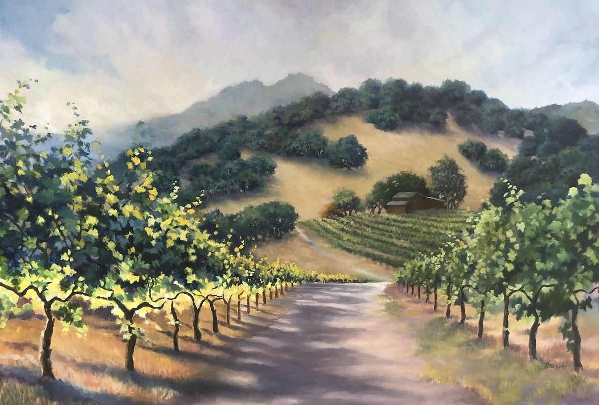 Sonoma Winery, Afternoon Light by Barbara Davies