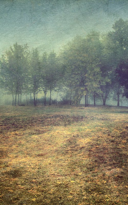 Early misty morning. by Valerix