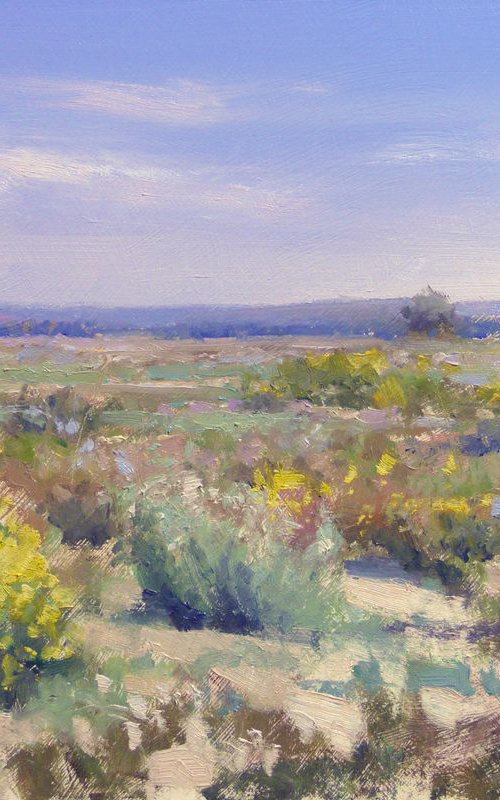 Landscape in Camargue by Pascal Giroud